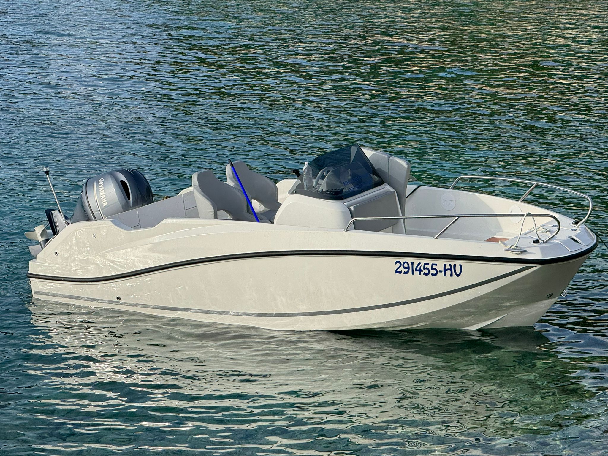 Quicksilver 100HP