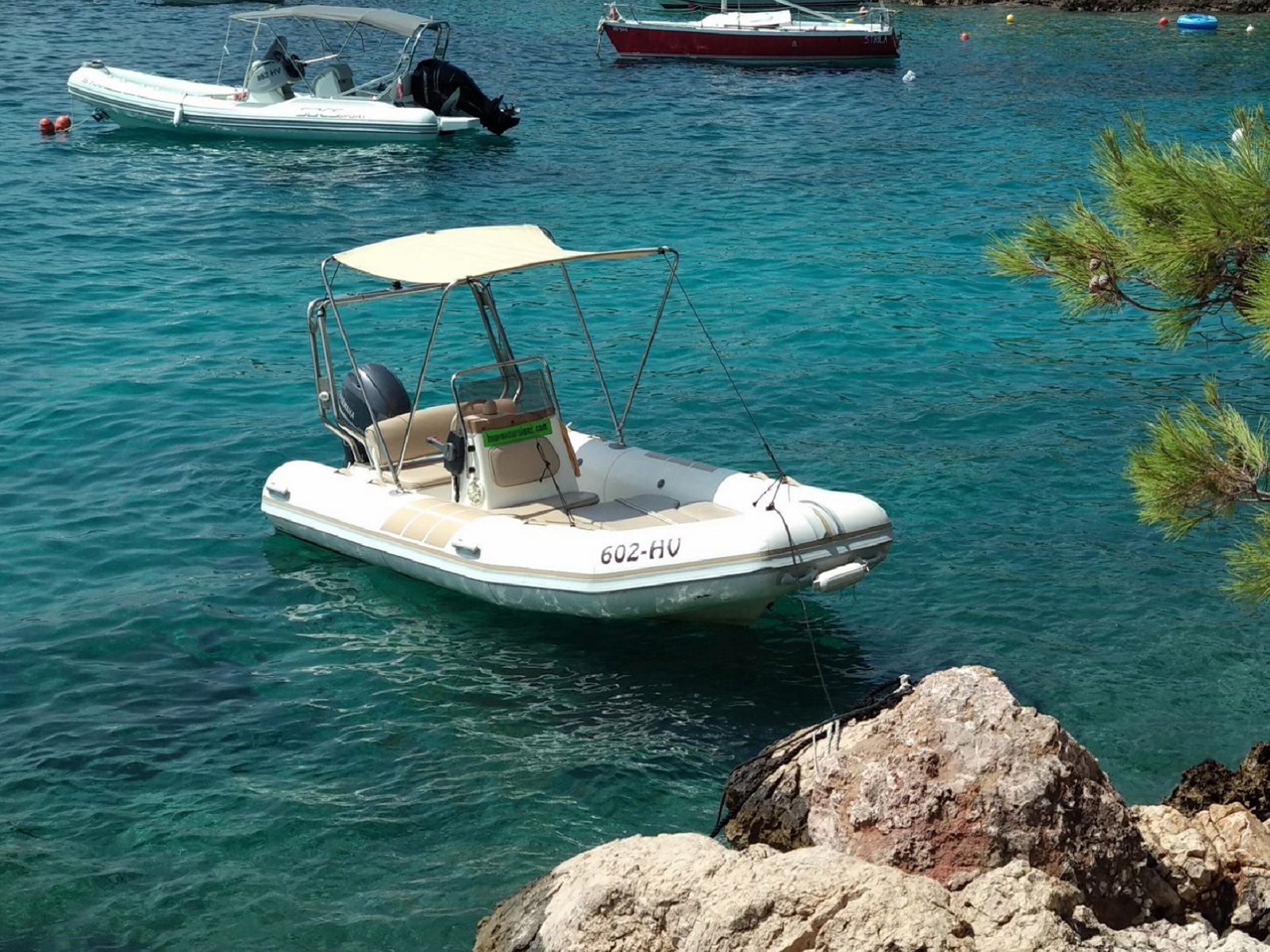 Zodiac 60HP
