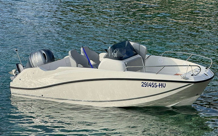 Quicksilver 100hp