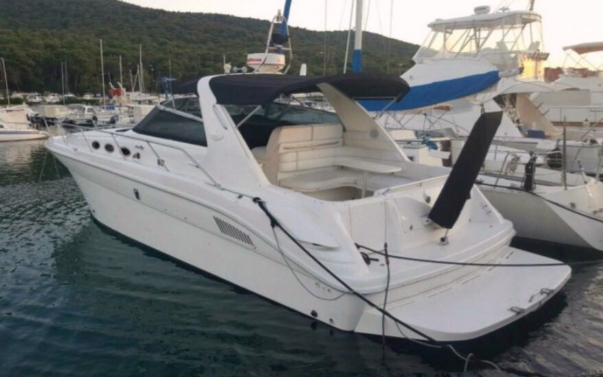 Sea Ray Sundancer 320